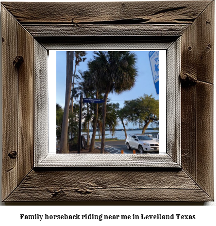 family horseback riding near me in Levelland, Texas